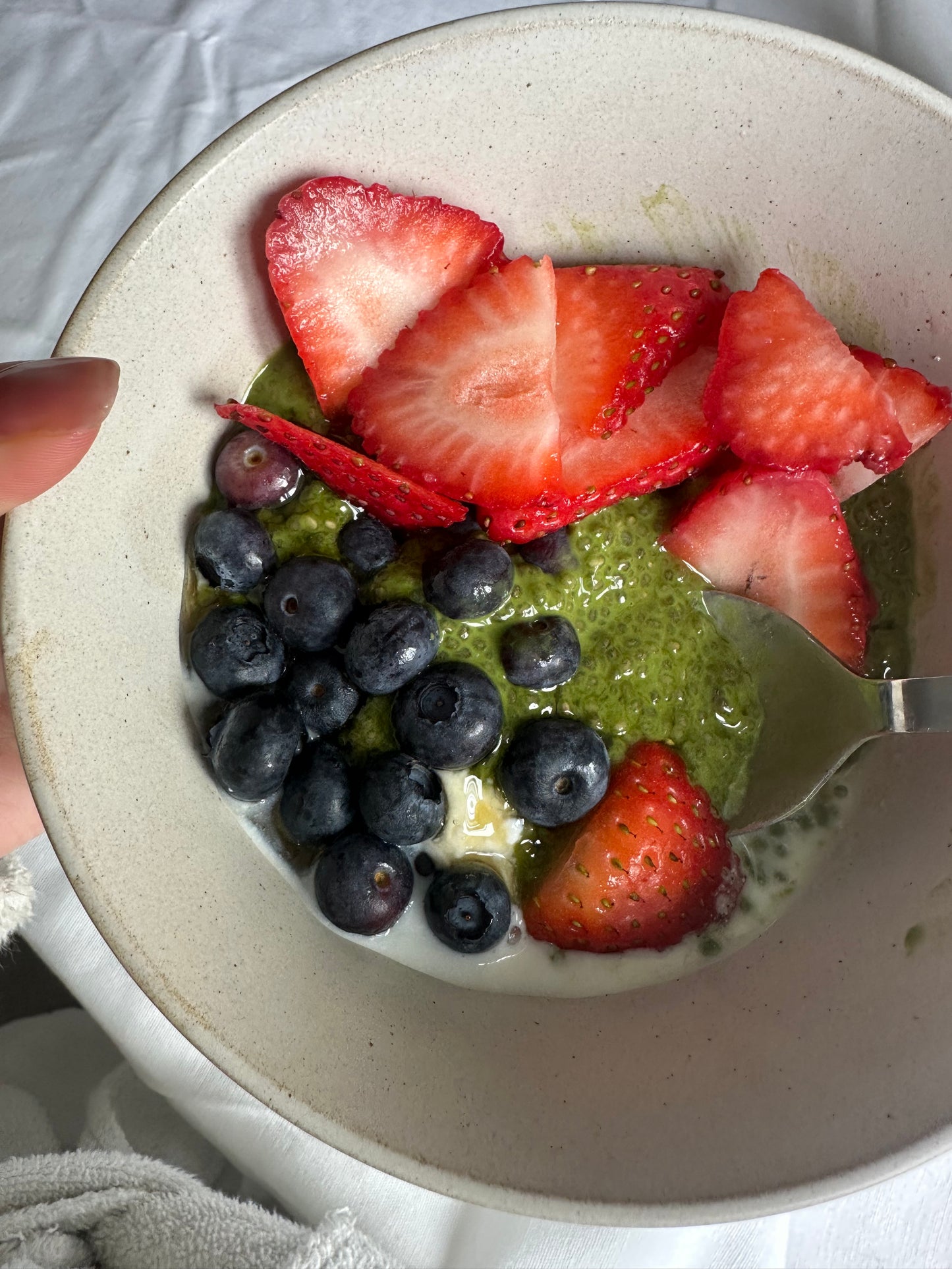 Matcha Green Tea Powder - Culinary Grade